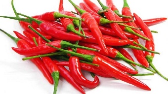 Cayenne pepper in the composition Flekosteel