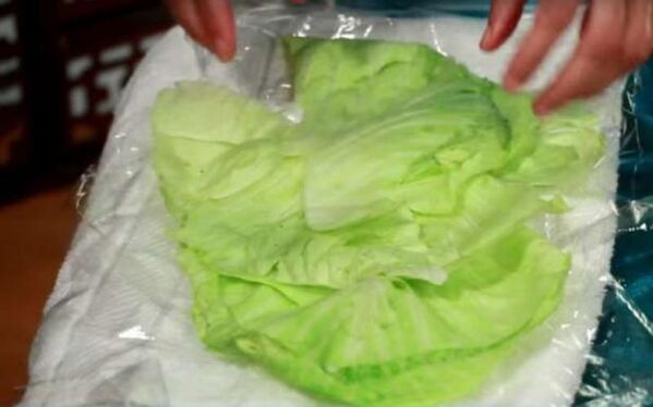 Cabbage compress for pain caused by osteoarthritis of the shoulder joint